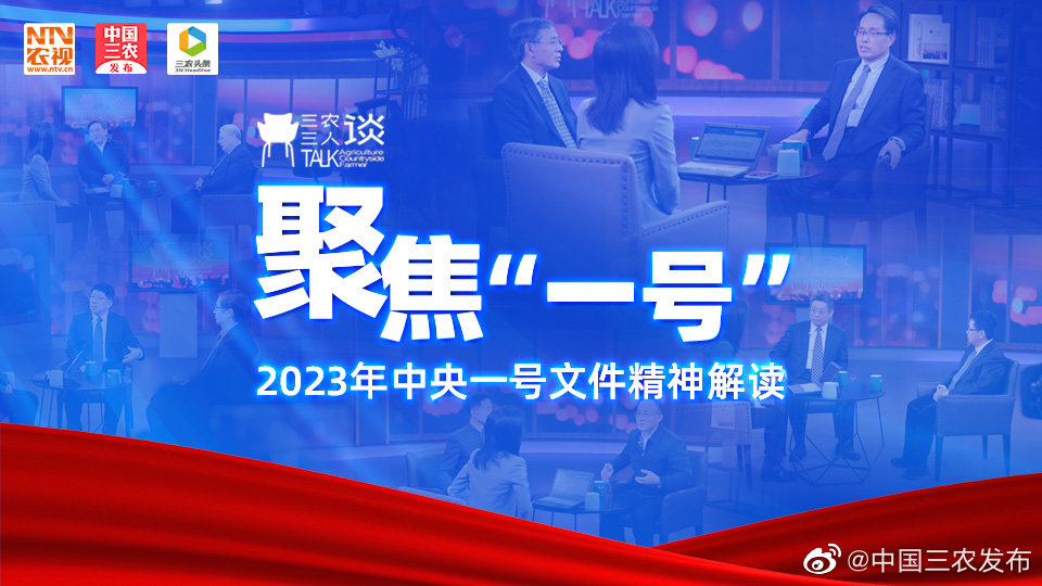 2023中央一号文件定调：巩固农村电网，发展光伏等可再生能源！