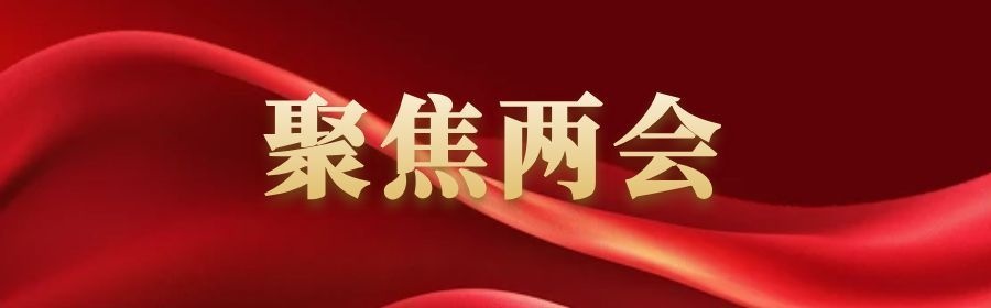 聚焦两会：315GW 纪录下的 “缺席”，两会代表联合为光伏强势发声
