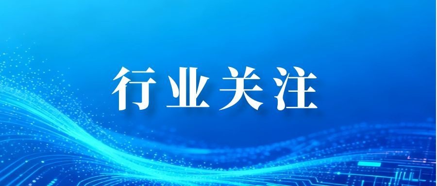 SNEC观察：TOPcon与BC技术产品对比与场景化适配指南