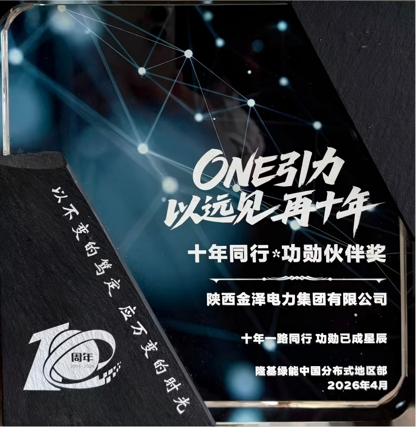 十年功勋伙伴奖
