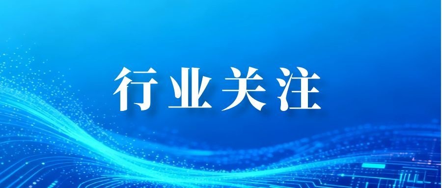 2026年上半年光伏组件出货榜出炉：头部格局稳中有变，存量博弈下分化加剧